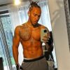 O Amor de Lewis Hamilton por Roscoe: A Humanidade por Trás do Super-Herói da F1